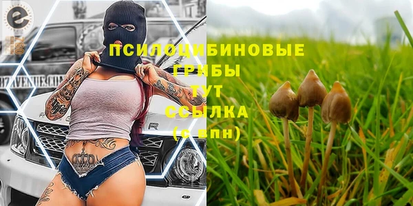 марки nbome Аркадак