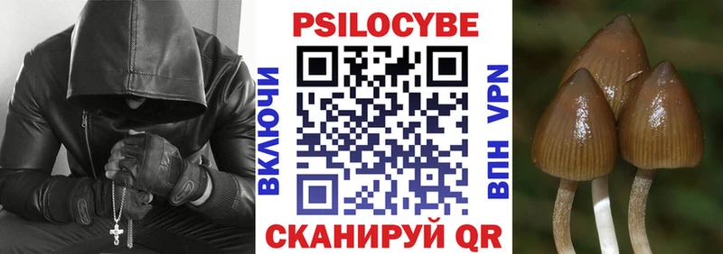Псилоцибиновые грибы Psilocybine cubensis  хочу   Сосенский 