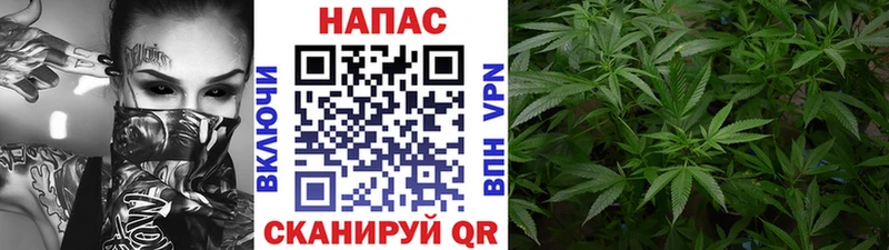 Бошки Шишки MAZAR  Сосенский 